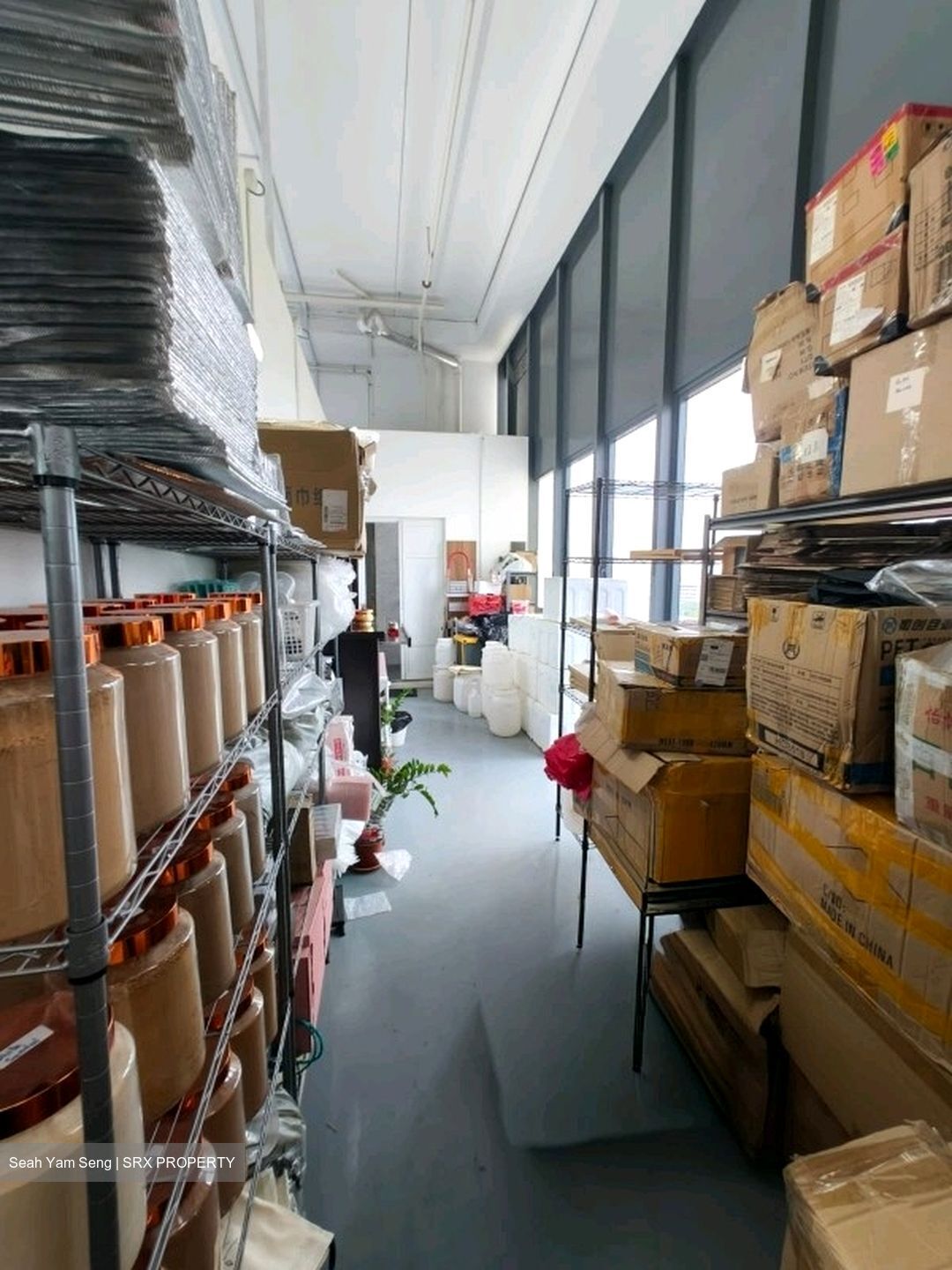 REVV (D22), Factory #596487471